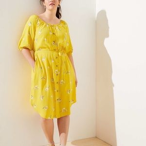 LOFT Plus Yellow Floral Button Down Dress